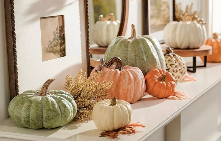 Fall Pumpkins
